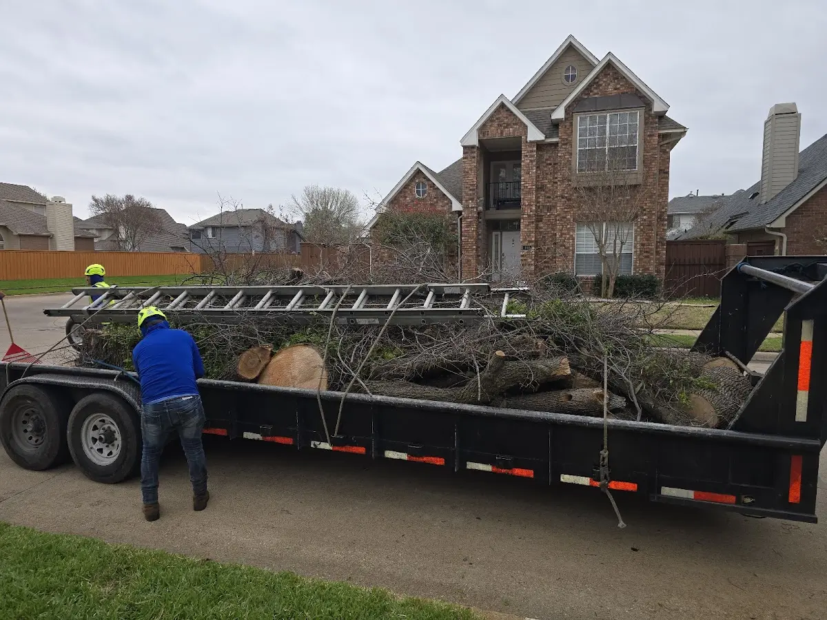 Expert Lot Clearing with proper safety equipment in Orwell